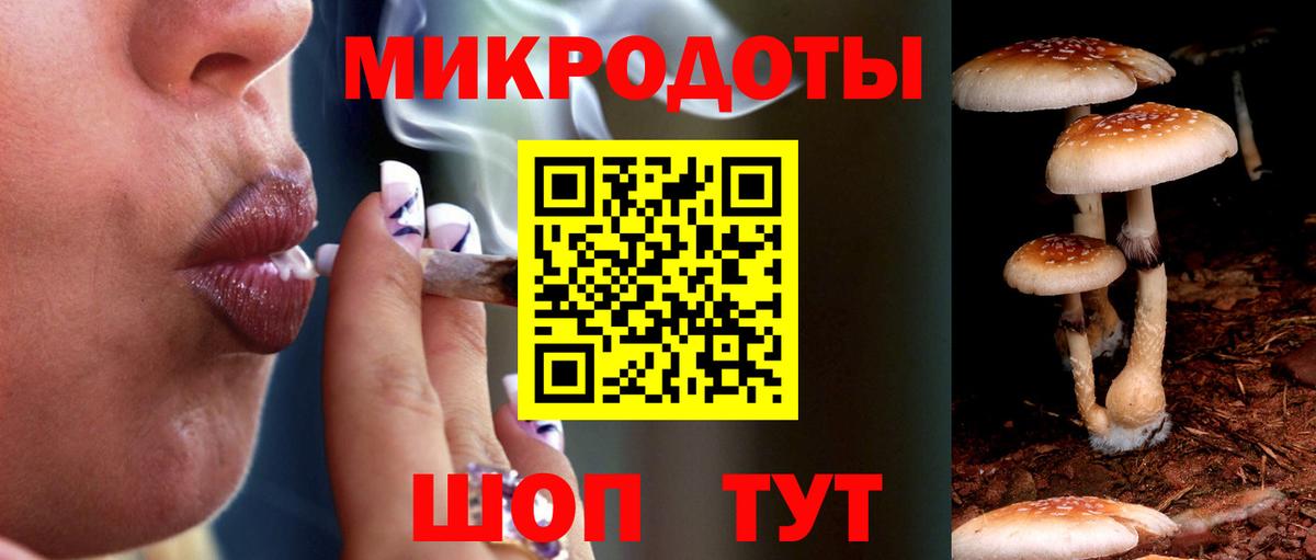 Галлюциногенные грибы Magic Shrooms  Вход с VPN  Приморско-Ахтарск  Псилоцибиновые грибы ЛСД 